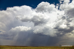 Colorado Pulse Storm